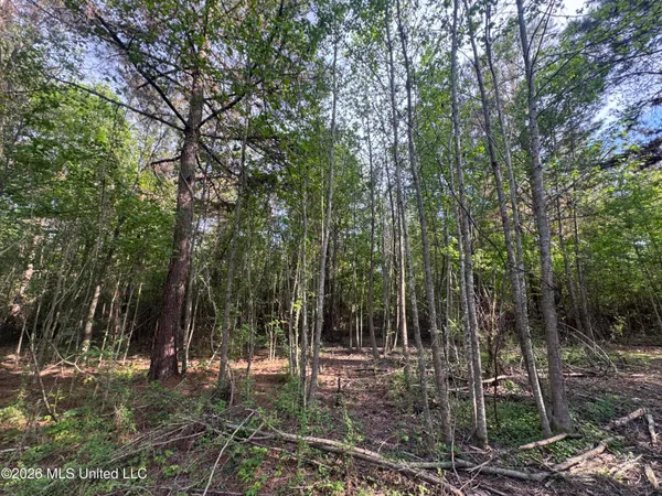 $255,000 | 1311 North Jackson Street, Brookhaven, MS 39601