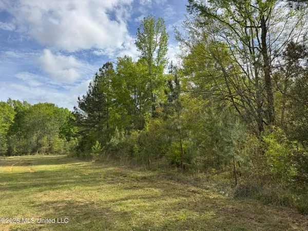 $255,000 | 1311 North Jackson Street, Brookhaven, MS 39601