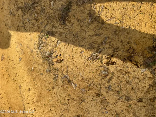 $255,000 | 1311 North Jackson Street, Brookhaven, MS 39601