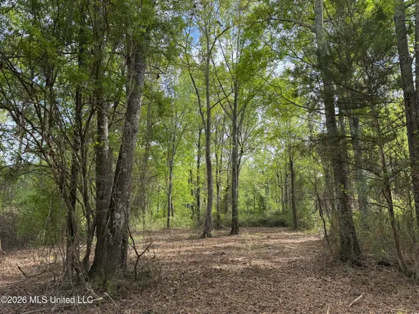 $255,000 | 1311 North Jackson Street, Brookhaven, MS 39601