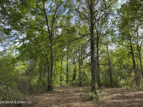 $255,000 | 1311 North Jackson Street, Brookhaven, MS 39601