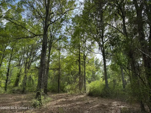 $255,000 | 1311 North Jackson Street, Brookhaven, MS 39601