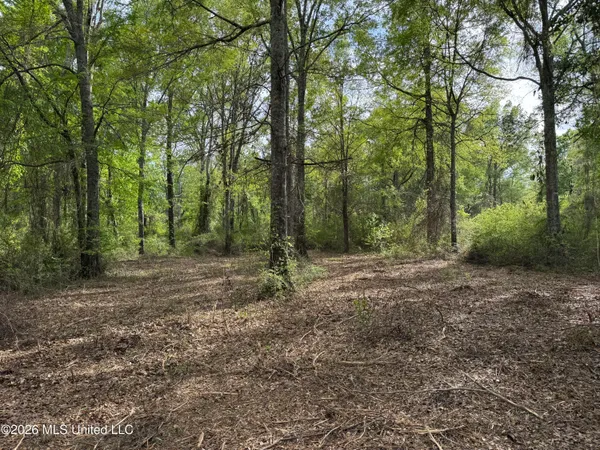 $255,000 | 1311 North Jackson Street, Brookhaven, MS 39601