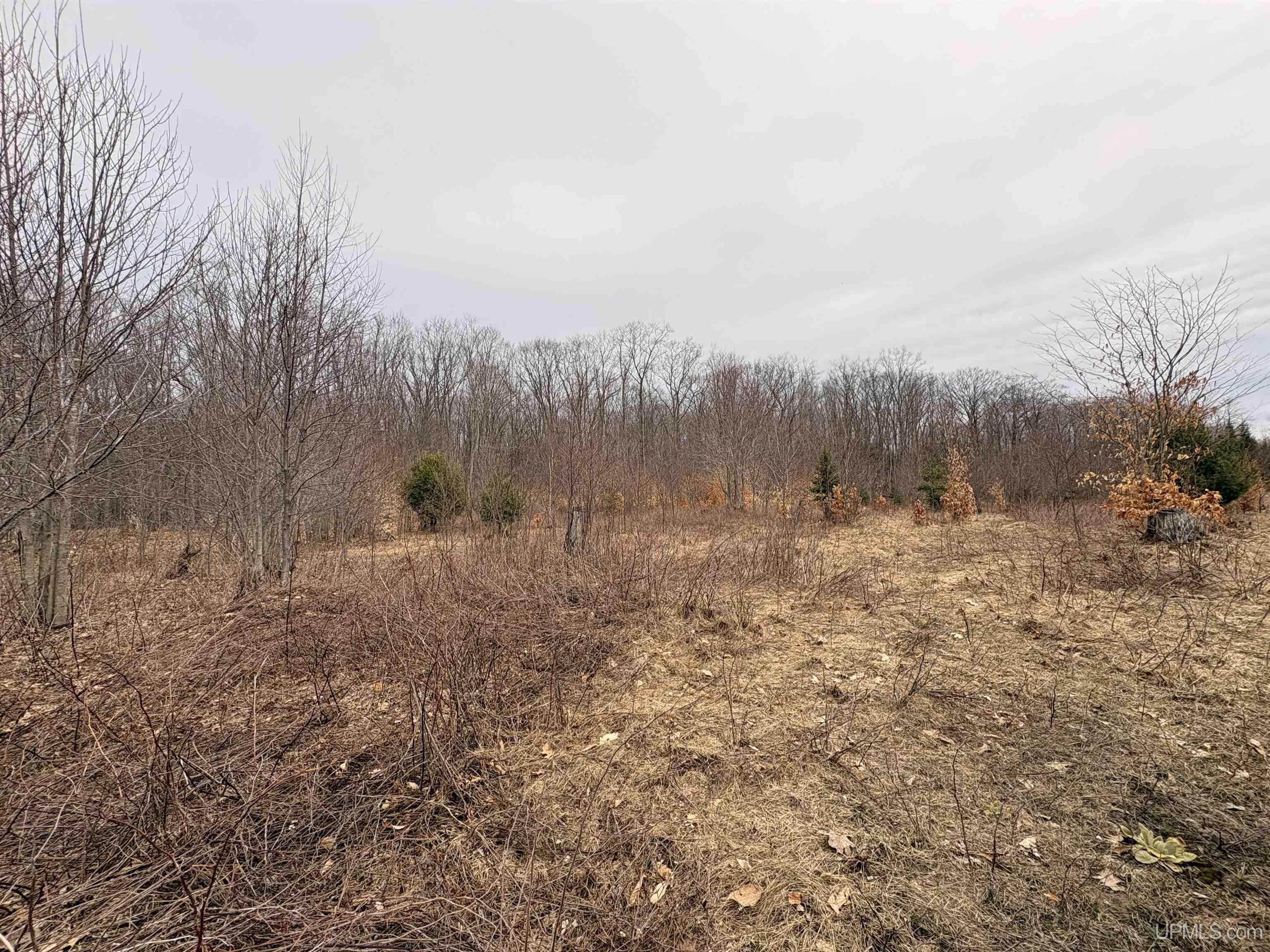 Tbd Tbd County Road Rapid River, MI 49878 - Photo 7 of 11