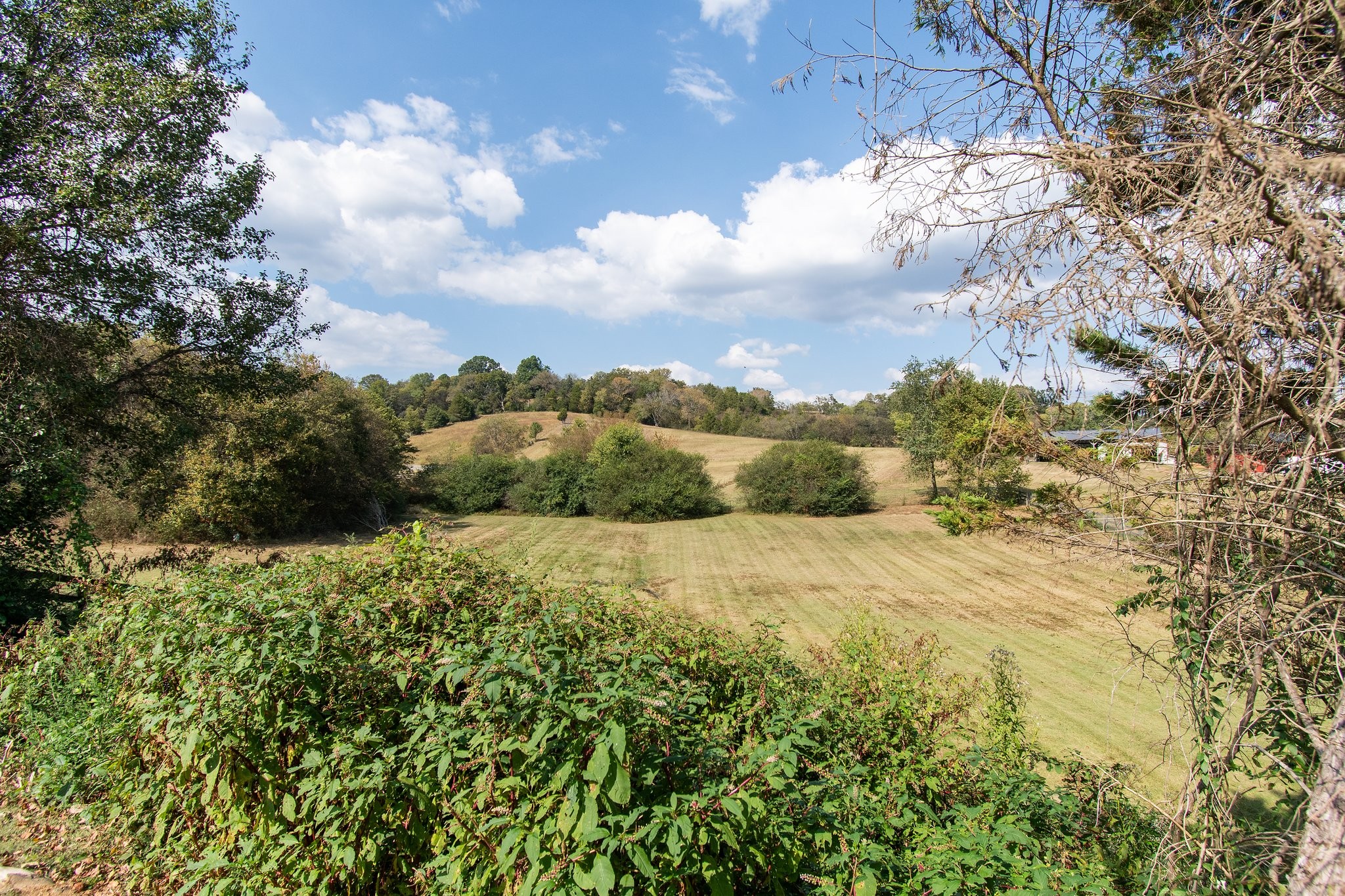 795 Waco Road Lynnville, TN 38472 - Photo 51 of 54 Gallery Image 51