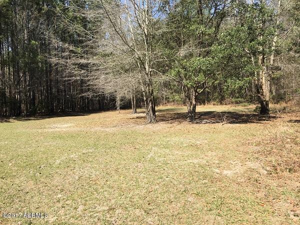 68 Crabapple Lane Ridgeland, SC 29936 - Photo 18 of 18 Rear Yard