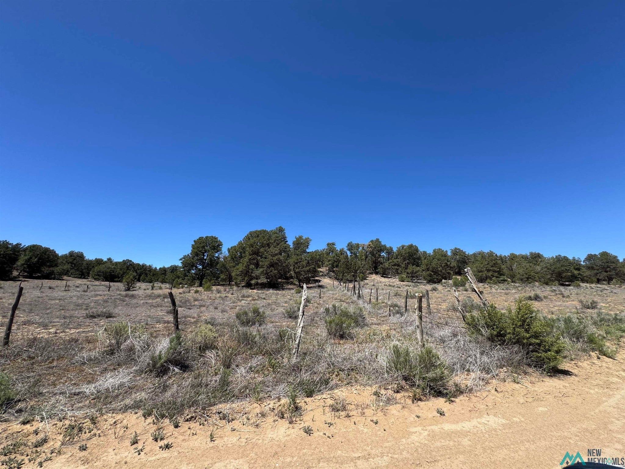 62 Old Wl Road Ramah, NM 87357 - Photo 4 of 16 Gallery Image 4