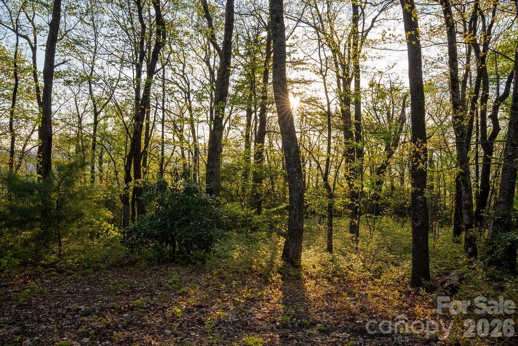 175 Skyview Road, Unit L5 Lake Toxaway, NC 28747 - Photo 7 of 19 Gallery Image 7