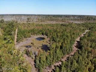 $353,592 | Tbd Broxton Bridge Road, Bamberg, SC 29003