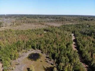 $353,592 | Tbd Broxton Bridge Road, Bamberg, SC 29003