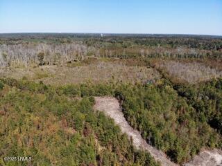 Tbd Broxton Bridge Road Bamberg, SC 29003 - Photo 8 of 9 7CF4DB6EA