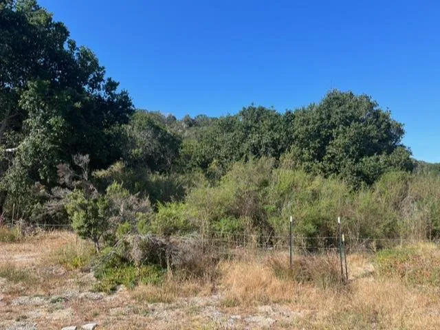 a view of a dry yard