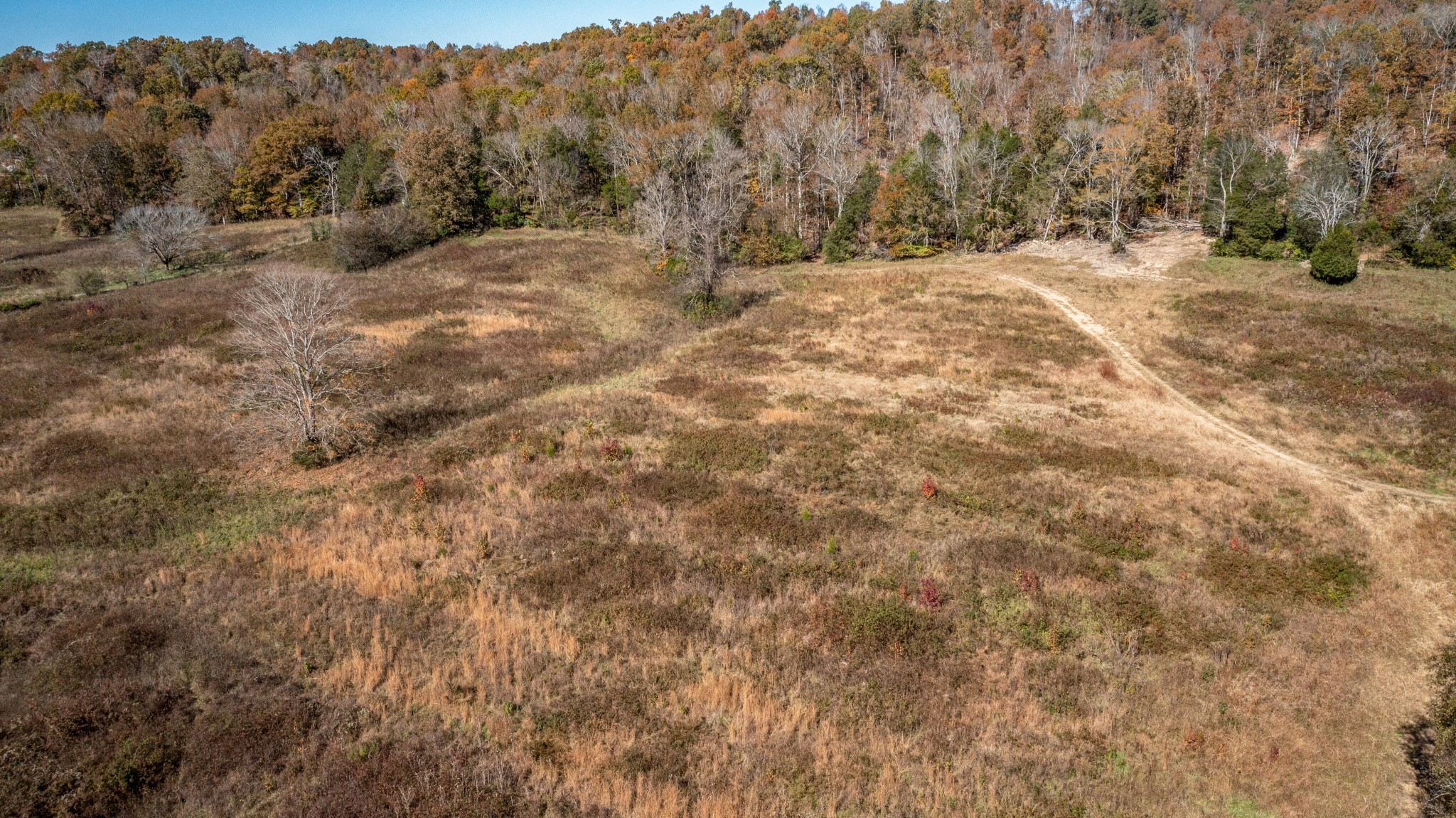 0 Hester Beasley Road Nashville, TN 37221 - Photo 10 of 36 Gallery Image 10