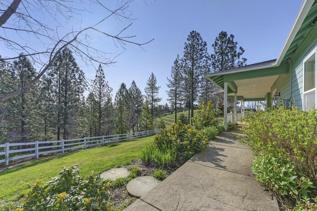 5901 Traverse Creek Road Garden Valley, CA 95633 - Photo 13 of 98 a view of a backyard with plants and a fountain