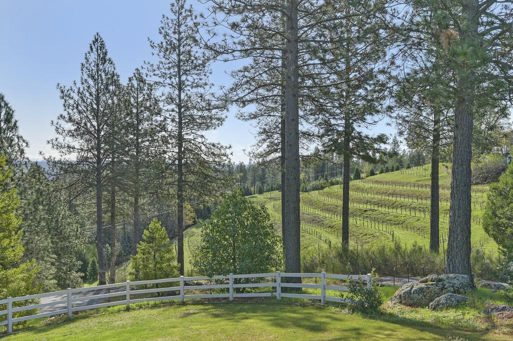 5901 Traverse Creek Road Garden Valley, CA 95633 - Photo 22 of 98 a view of a swimming pool with a lawn chairs and a small yard