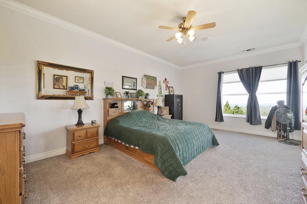 5901 Traverse Creek Road Garden Valley, CA 95633 - Photo 57 of 98 bedroom featuring crown molding, carpet floors, and ceiling fan