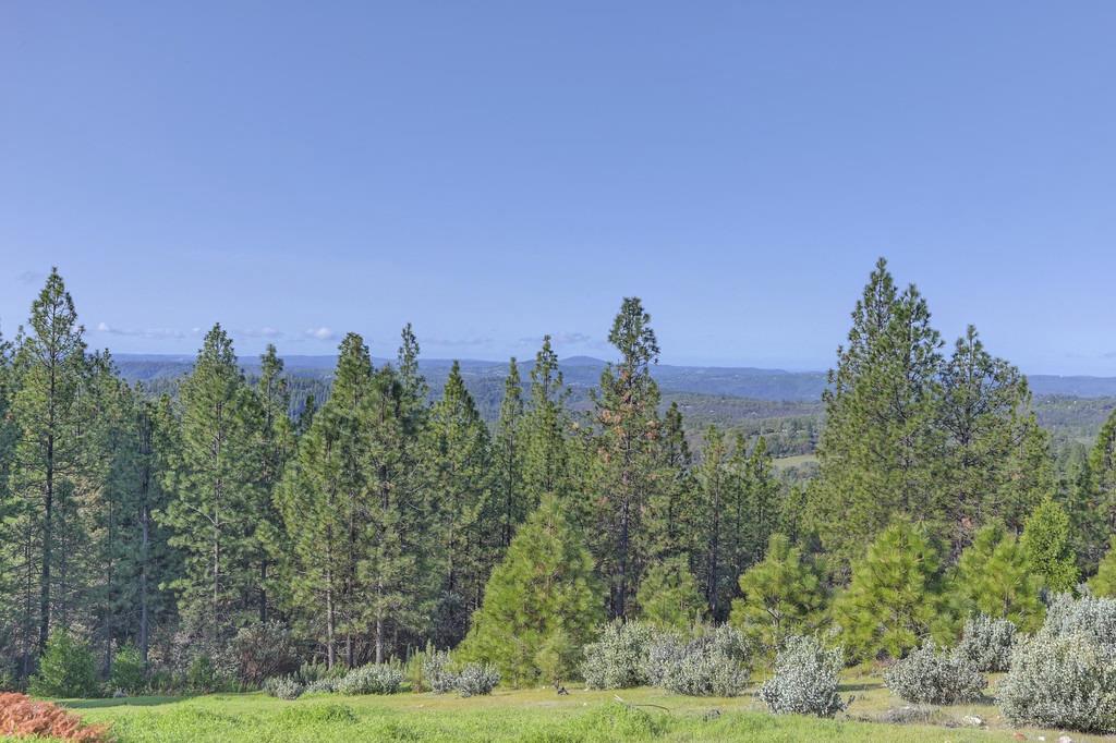 5901 Traverse Creek Road Garden Valley, CA 95633 - Photo 68 of 98 a view of a city