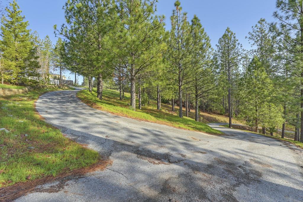 5901 Traverse Creek Road Garden Valley, CA 95633 - Photo 7 of 98 view of asphalt road