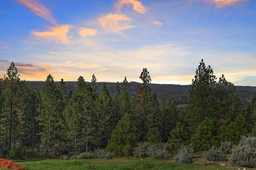 5901 Traverse Creek Road Garden Valley, CA 95633 - Photo 83 of 98 mountain view