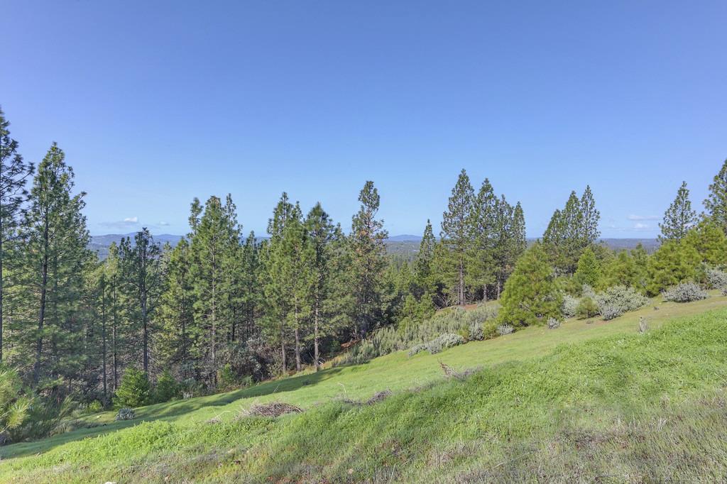5901 Traverse Creek Road Garden Valley, CA 95633 - Photo 95 of 98 view of grassy yard