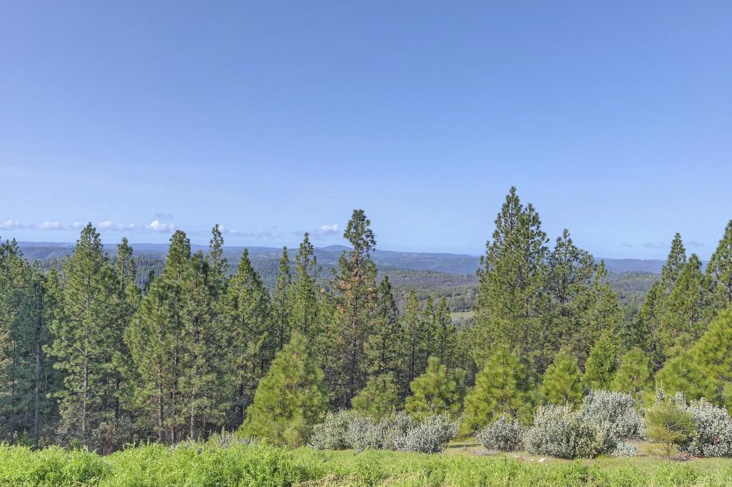 5901 Traverse Creek Road Garden Valley, CA 95633 - Photo 96 of 98 view of mountain backdrop with a forest