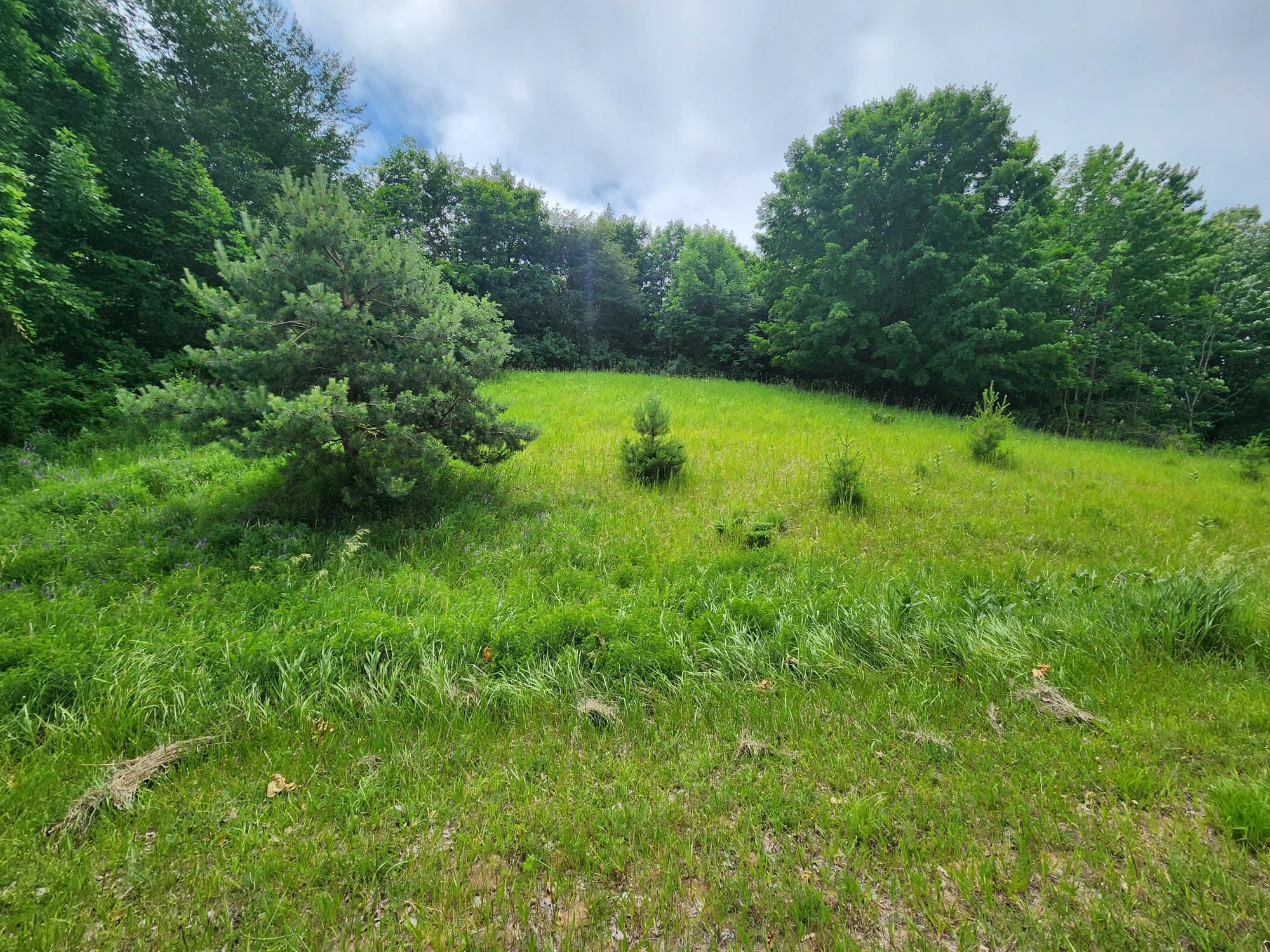 0 Deer Ridge Trail Beulah, MI 49617 - Photo 1 of 39
