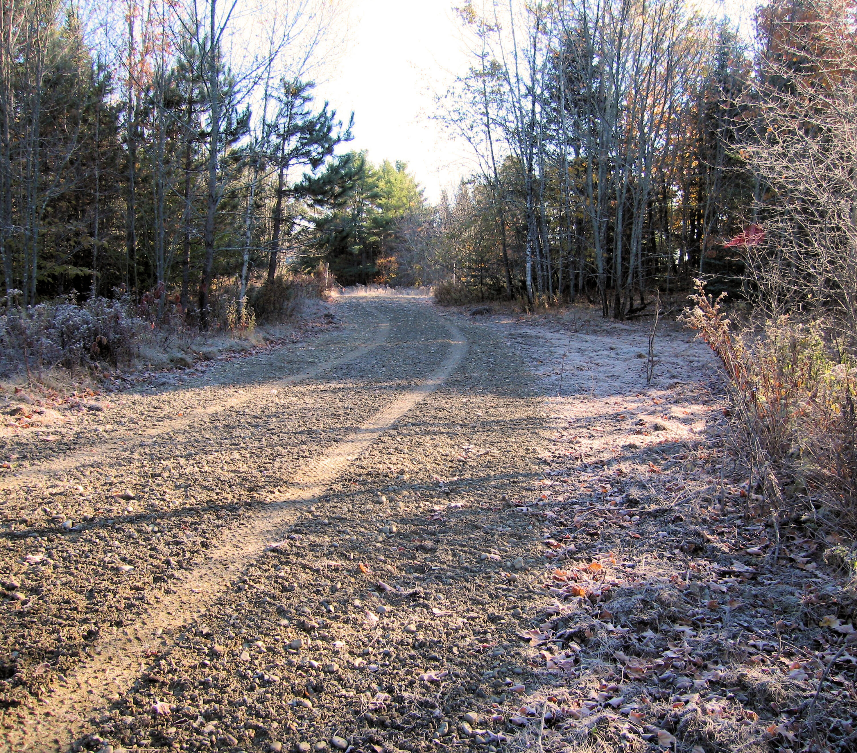 Lot #92 Smith Road Ellsworth, ME 04605 - Photo 16 of 18 Driveway