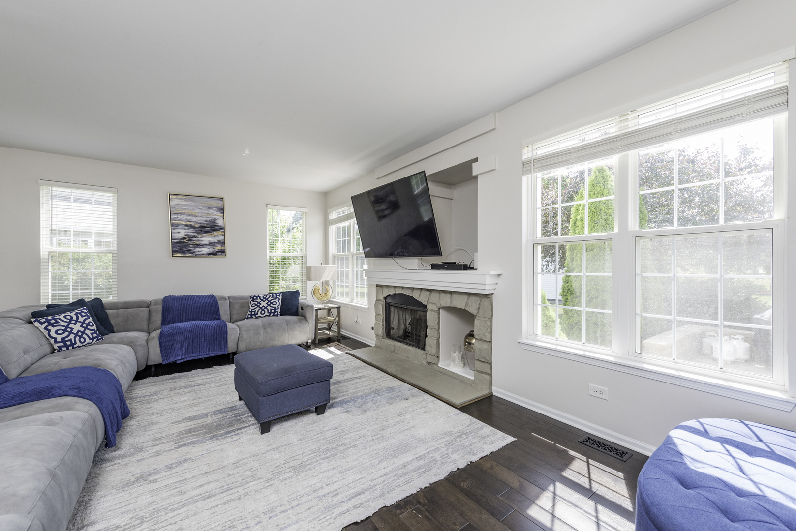 1650 Natures Way Lindenhurst, IL 60046 - Photo 20 of 55 a living room with furniture a flat screen tv and a fireplace
