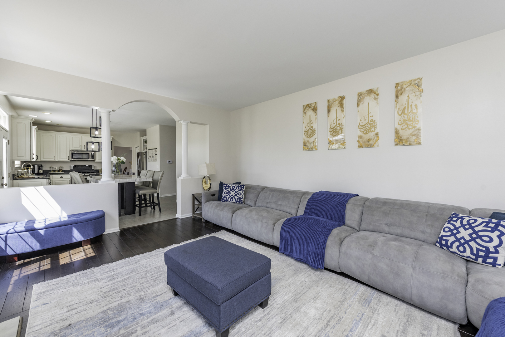 1650 Natures Way Lindenhurst, IL 60046 - Photo 22 of 55 a living room with furniture and kitchen view