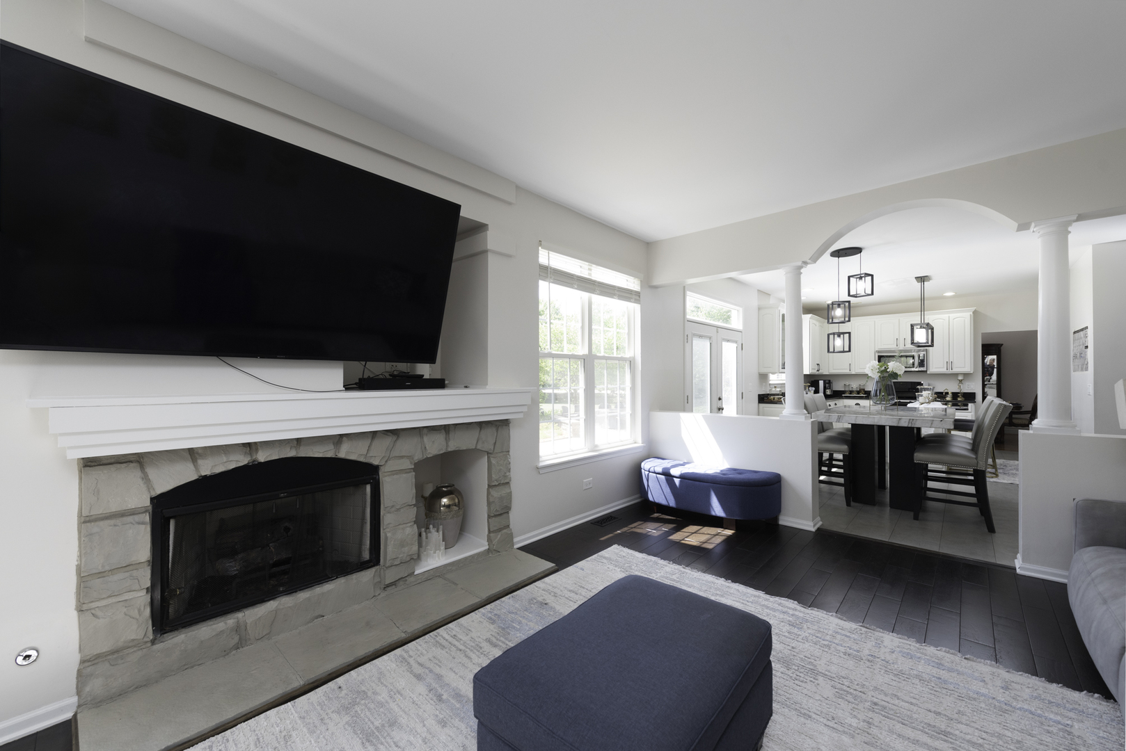 1650 Natures Way Lindenhurst, IL 60046 - Photo 23 of 55 a living room with furniture and a fireplace