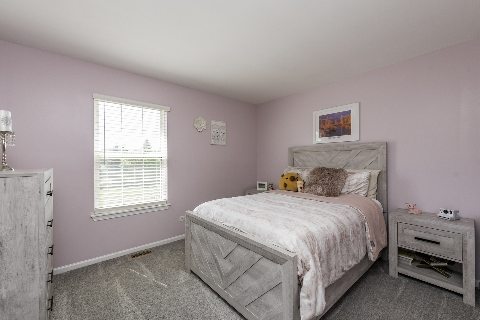 1650 Natures Way Lindenhurst, IL 60046 - Photo 33 of 55