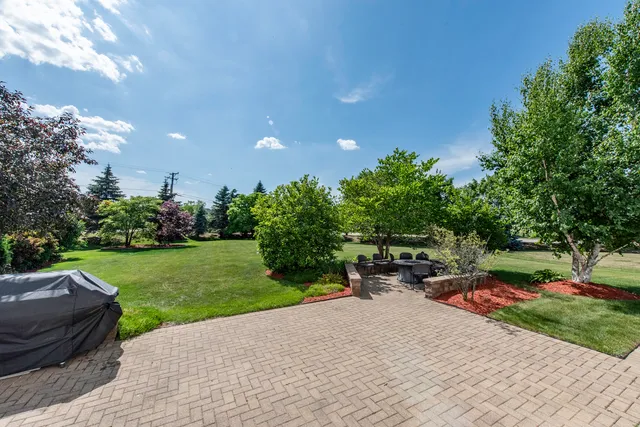 a backyard of a house with plants and tree