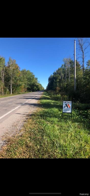 0 North 11 Mile Rd Mount Pinconning, MI 48650 - Photo 1 of 13