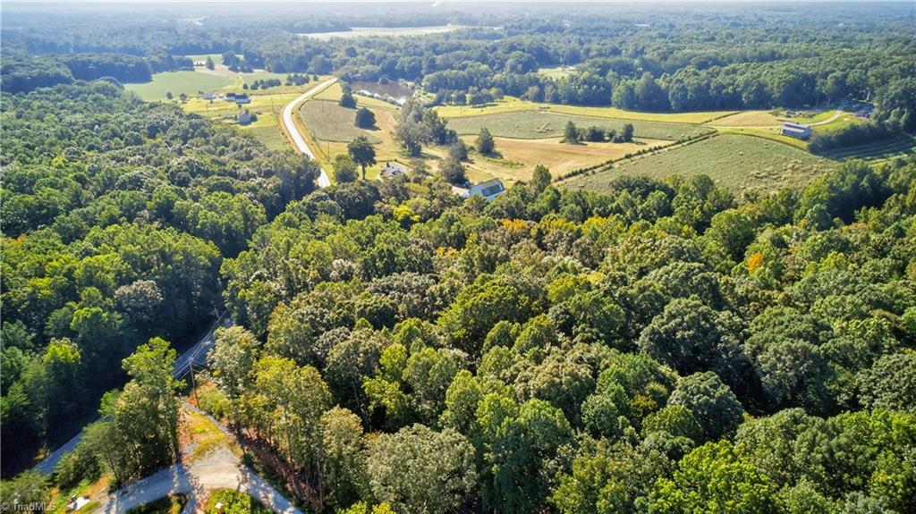 0 Bethel South Fork Road Graham, NC 27253 - Photo 12 of 13