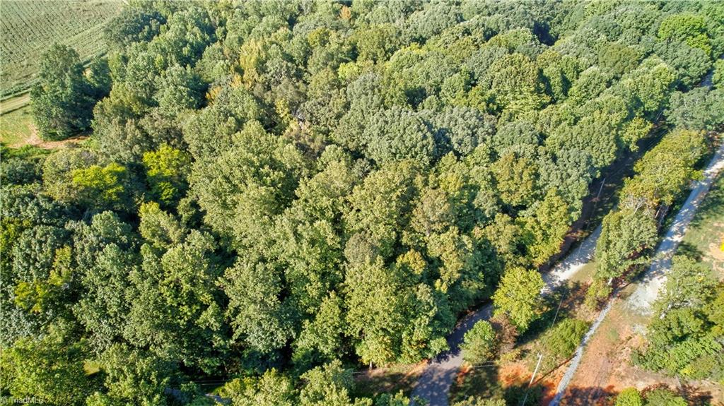 0 Bethel South Fork Road Graham, NC 27253 - Photo 7 of 13