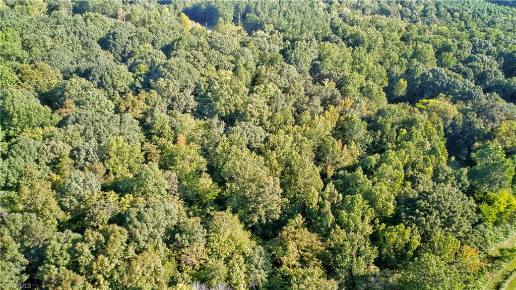 0 Bethel South Fork Road Graham, NC 27253 - Photo 9 of 13