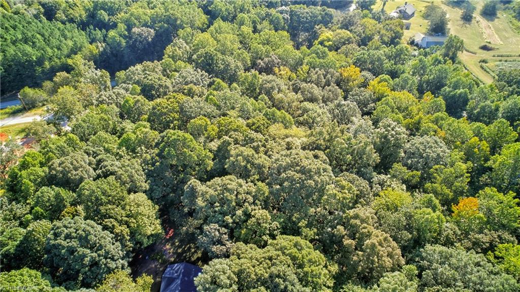 0 Bethel South Fork Road Graham, NC 27253 - Photo 10 of 13