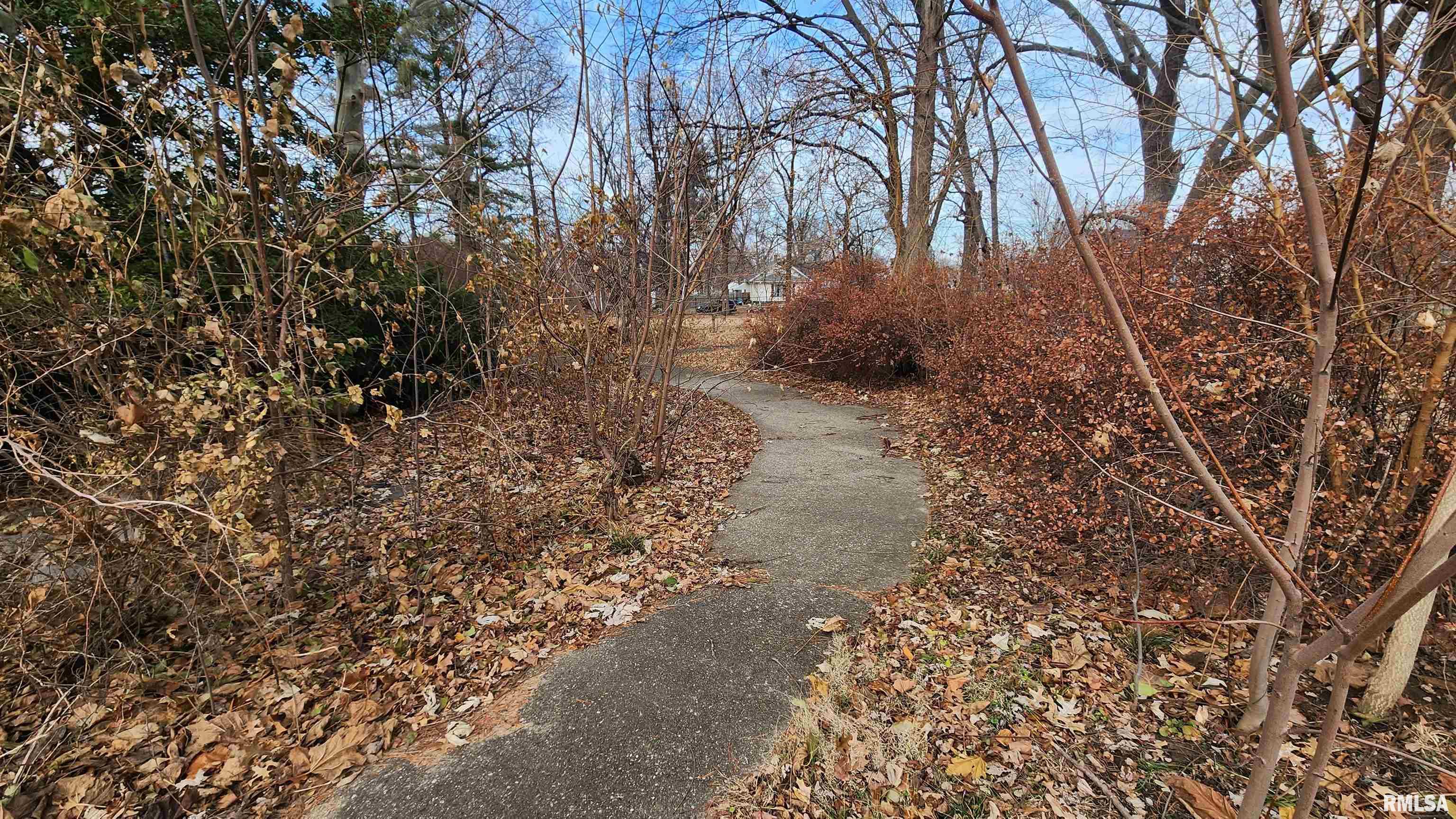 541 East Black Avenue Springfield, IL 62702 - Photo 12 of 20