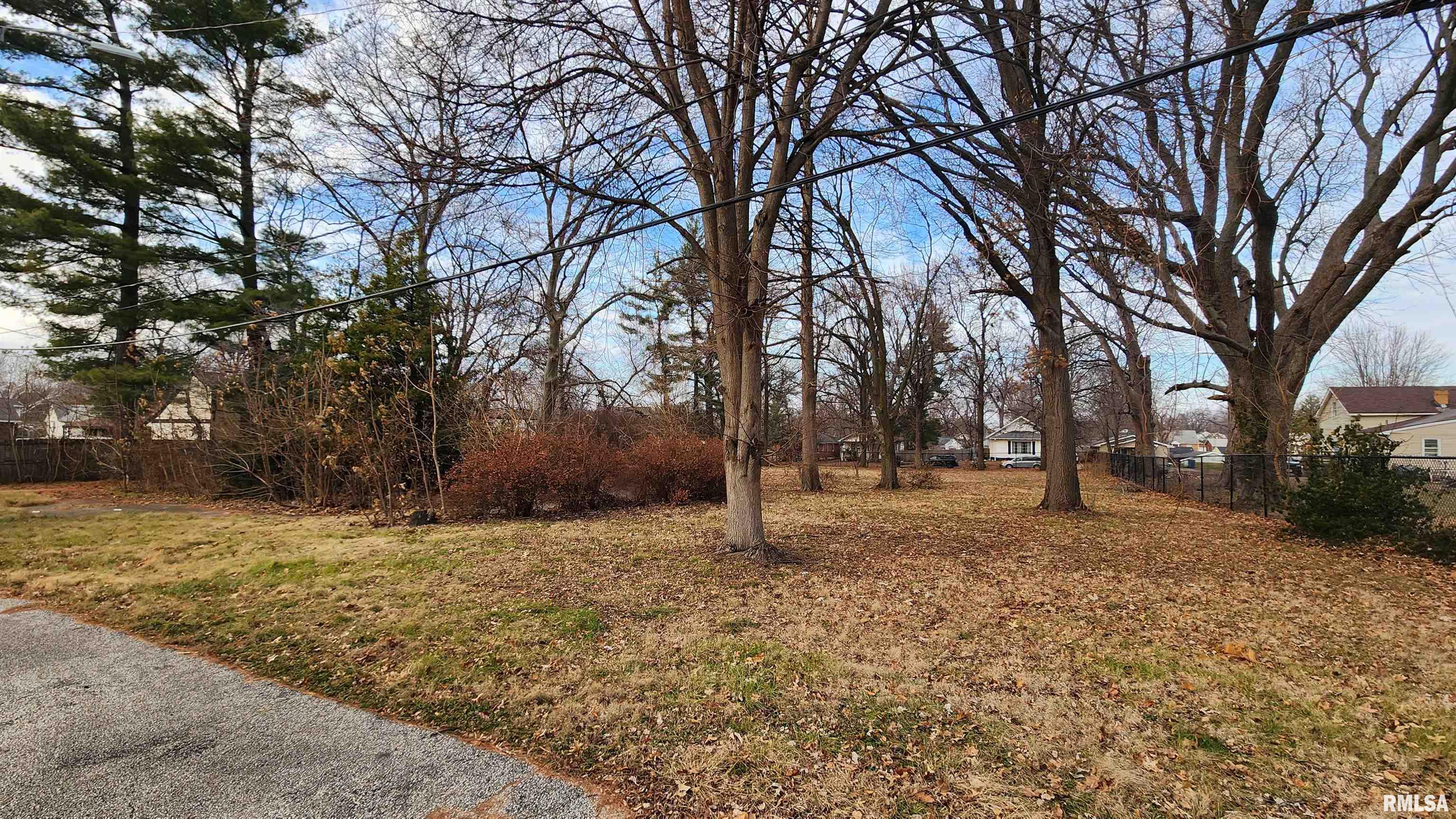 541 East Black Avenue Springfield, IL 62702 - Photo 10 of 20