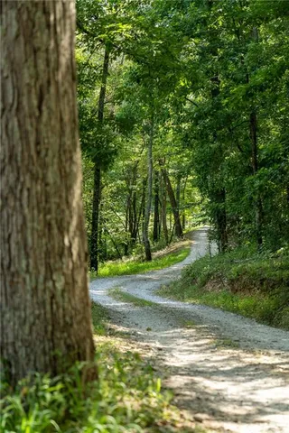 a view of a chair and table in backyard of the house