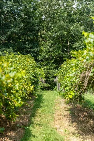 a living room with furniture a rug and potted plant
