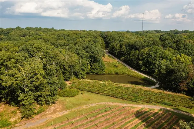 a view of an empty room with wooden floor and windows