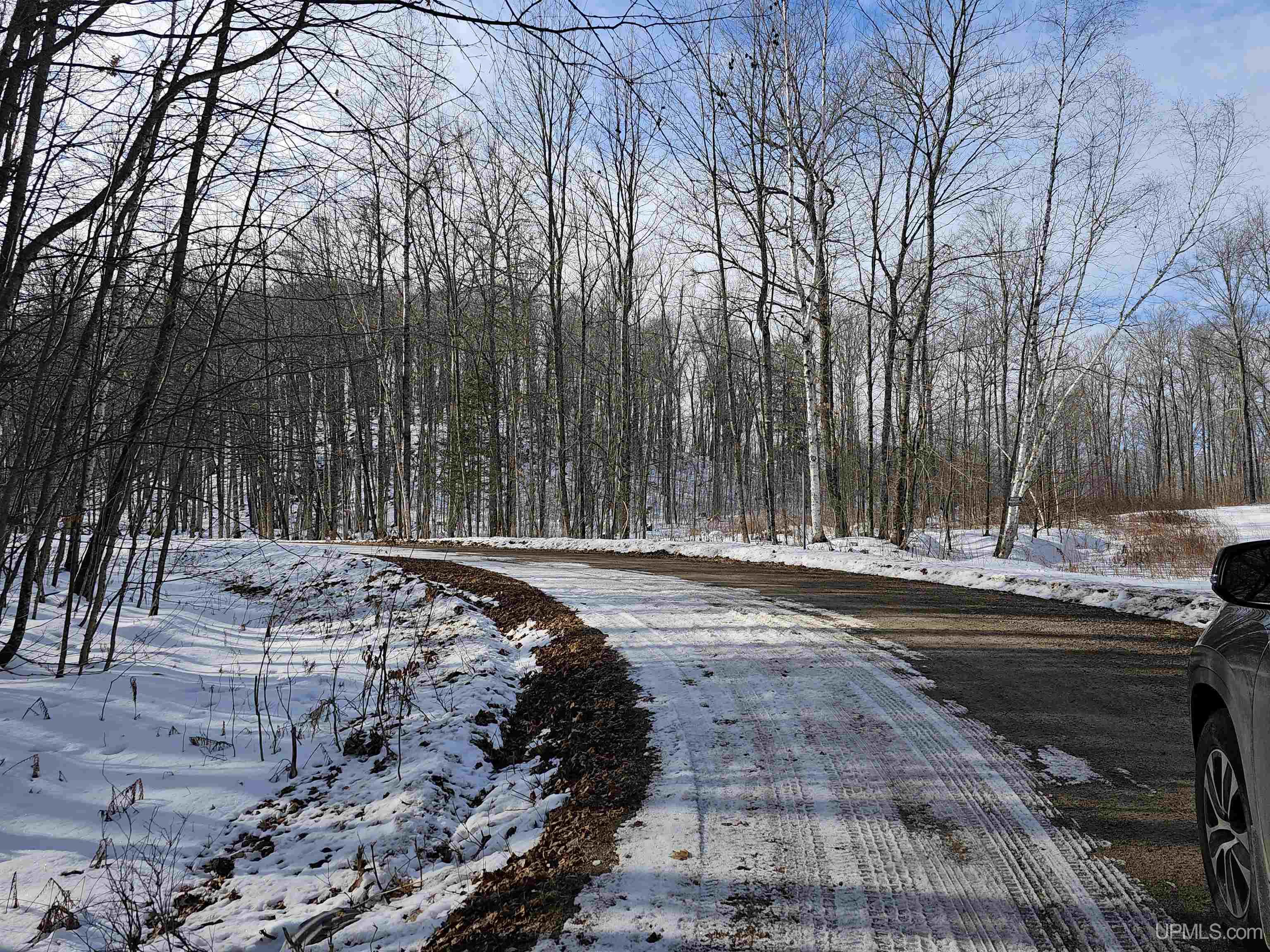 Tbd Little Bear Road Iron River, MI 49935 - Photo 3 of 8