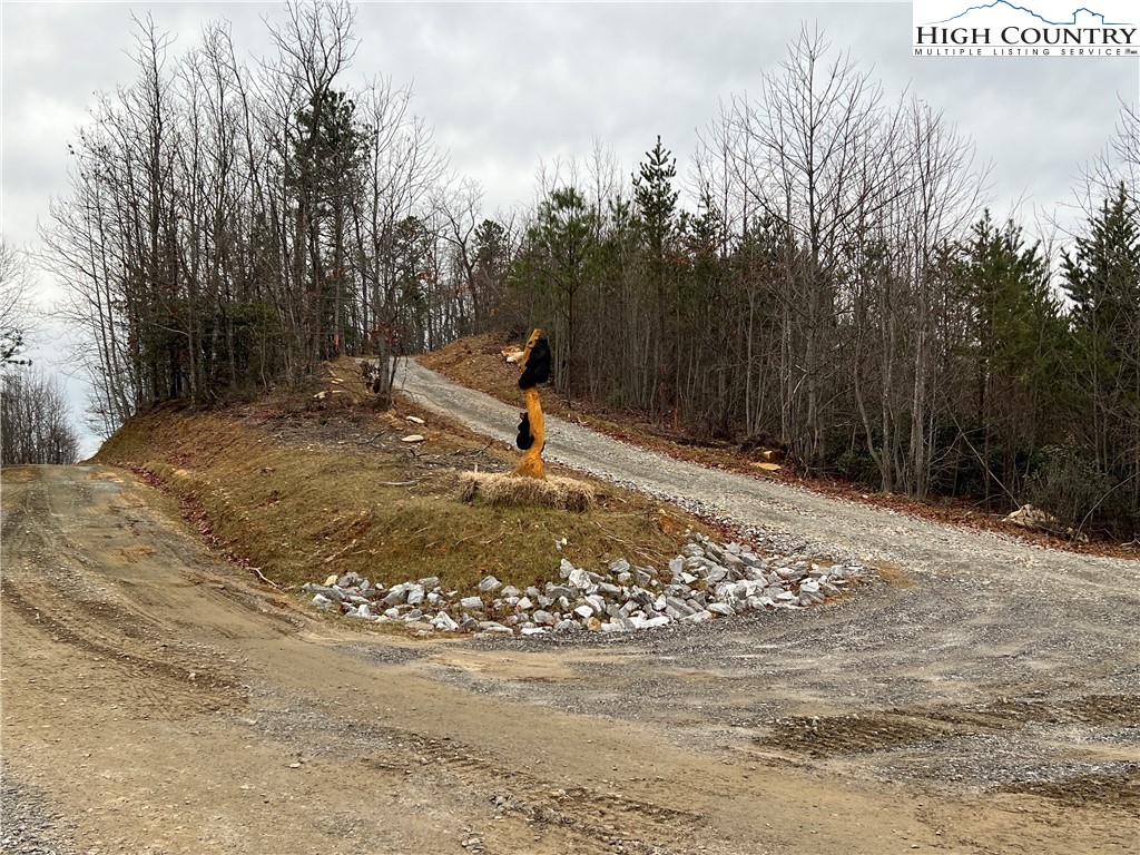14 Blackberry Ridge Hays, NC 28635 - Photo 5 of 16 a view of a park with large trees