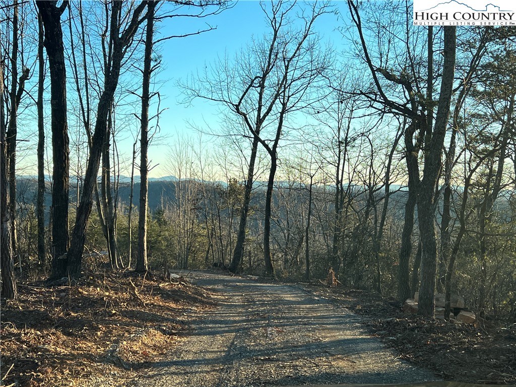 14 Blackberry Ridge Hays, NC 28635 - Photo 7 of 16 a view of a backyard of a house
