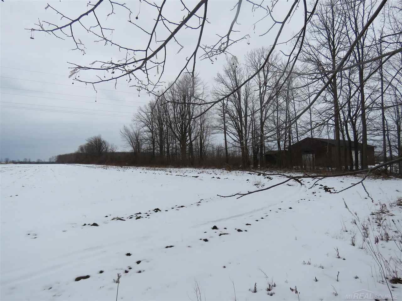 0 Fisher Road Avoca, MI 48006 - Photo 5 of 6
