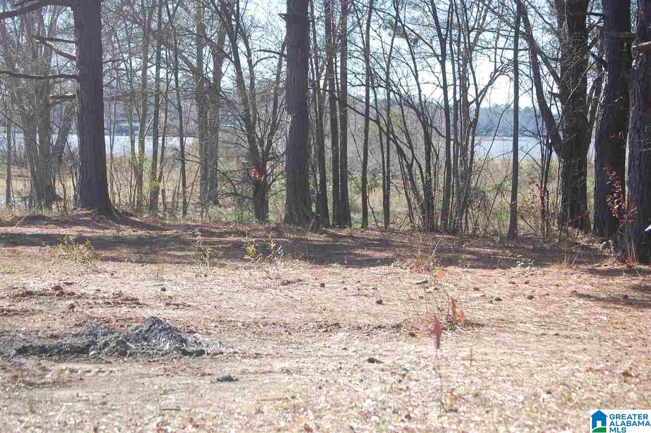 0 Carleton Point, Unit 12 Wilsonville, AL 35186 - Photo 11 of 13
