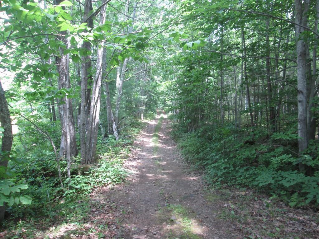 1 Mooar Hill Road Mount Vernon, ME 04352 - Photo 1 of 2 Woods road on property