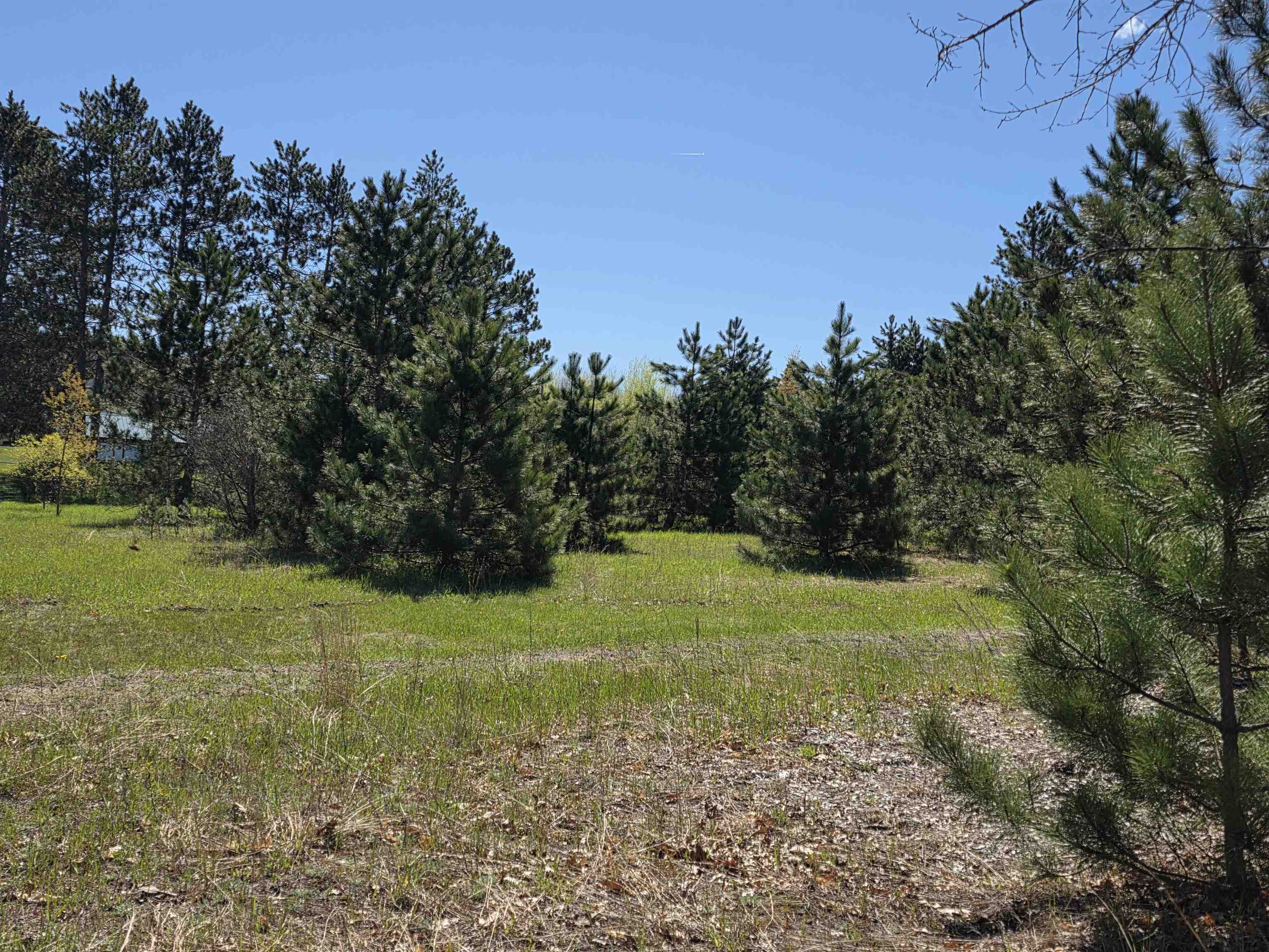Vl 2-acres Arnold Road Manton, MI 49663 - Photo 9 of 15
