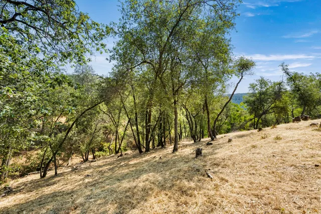 a view of empty space with trees